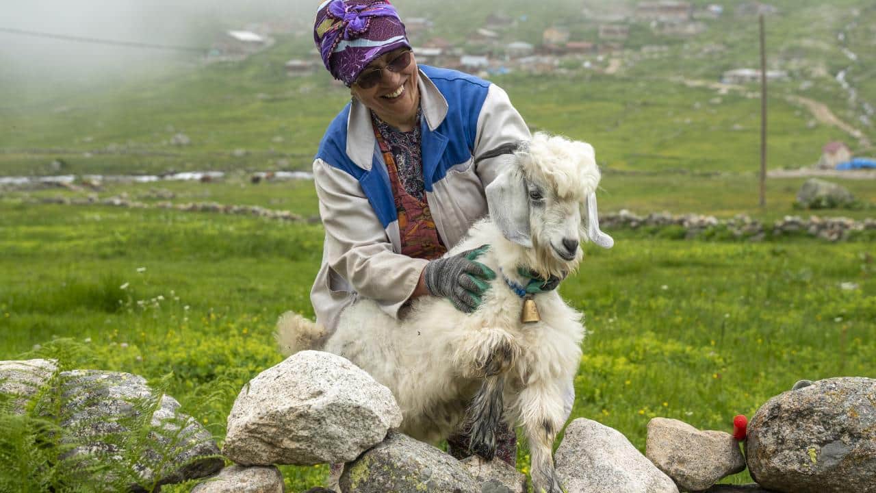 Foto - Bir başkadır Kaçkar Dağları! Yaylalarda bir gün böyle geçiyor…