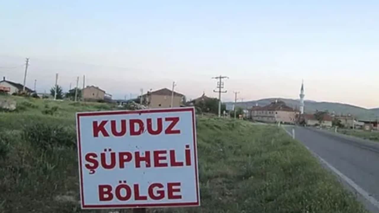 Foto - Bir ilde daha kuduz vakası: O bölge karantina altına alındı!
