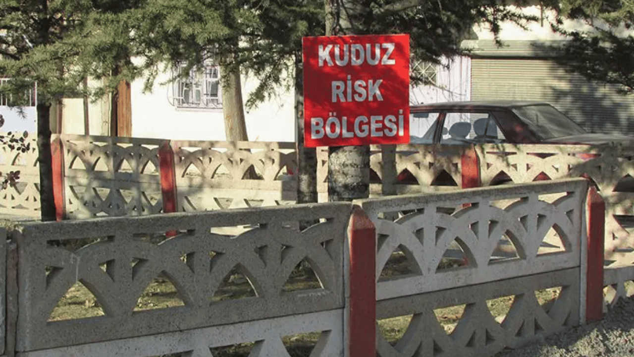 Foto - Bir ilde daha kuduz vakası: O bölge karantina altına alındı!