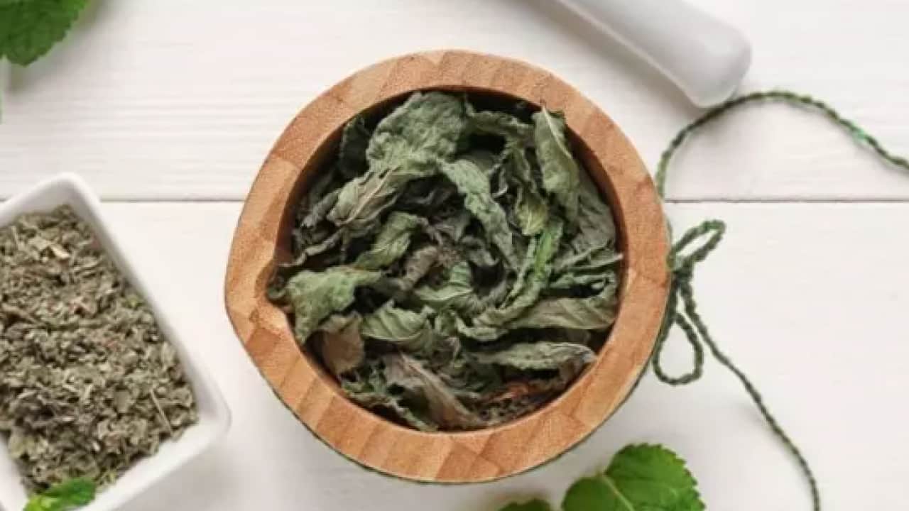 Foto - Bir kaşık ekleyip tüketin: Sindirim sistemini makine gibi çalıştırıyor!