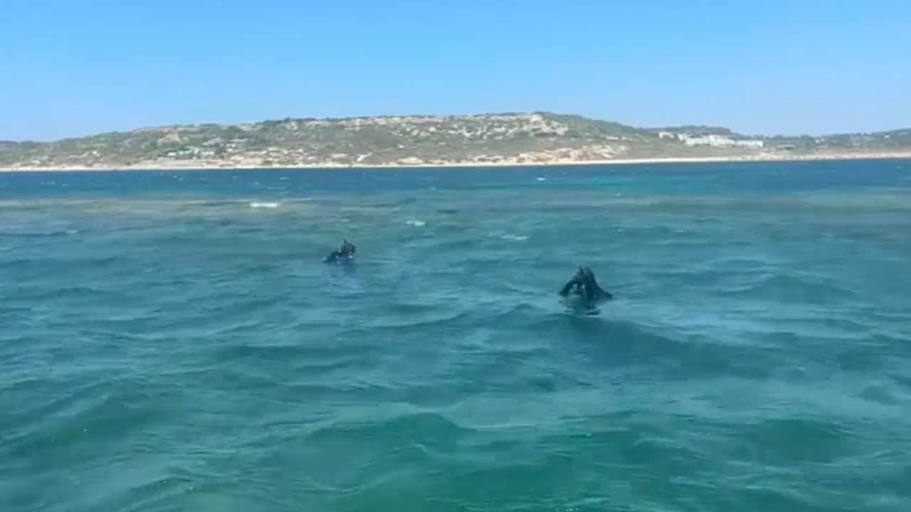 Foto - Bozcaada’da Uğur Savaş aranıyor! Zıpkınla avlanmak için denize girdi, bir daha çıkmadı
