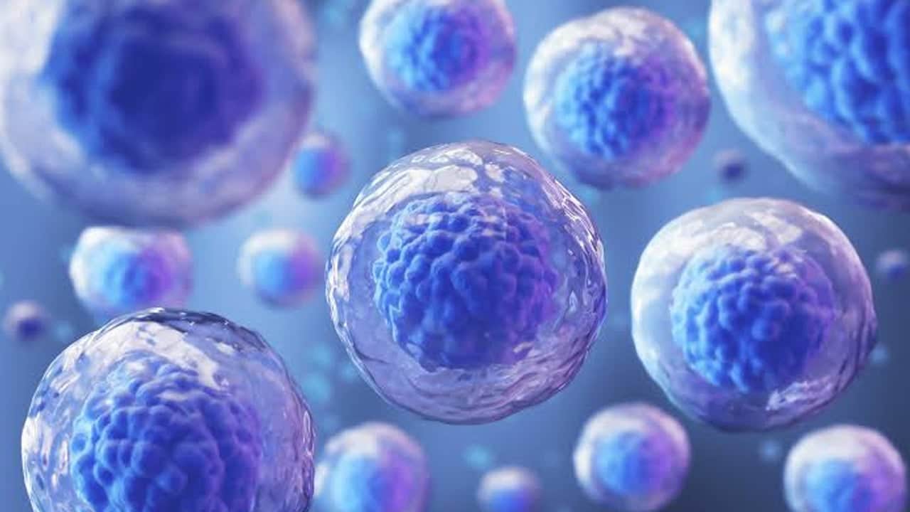 Bu içeceği yapan yaşlanmıyor: Sabah 1 bardak içen genç görünüyor! 35 yaş üzeri dikkat ediyor...