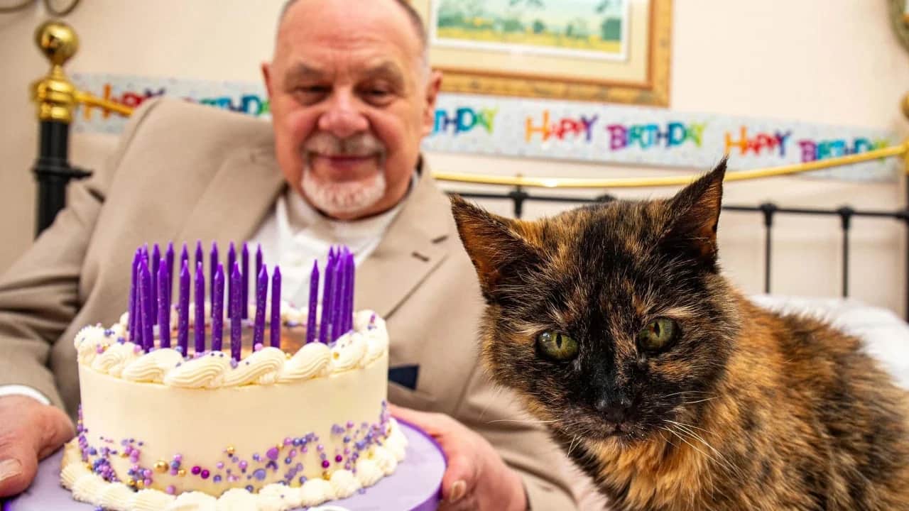 Bu kez keşif yolculuğunda 31 yaşına basan kedi var! Gündeme oturdu: Sadece 3 gıdayla besleniyor