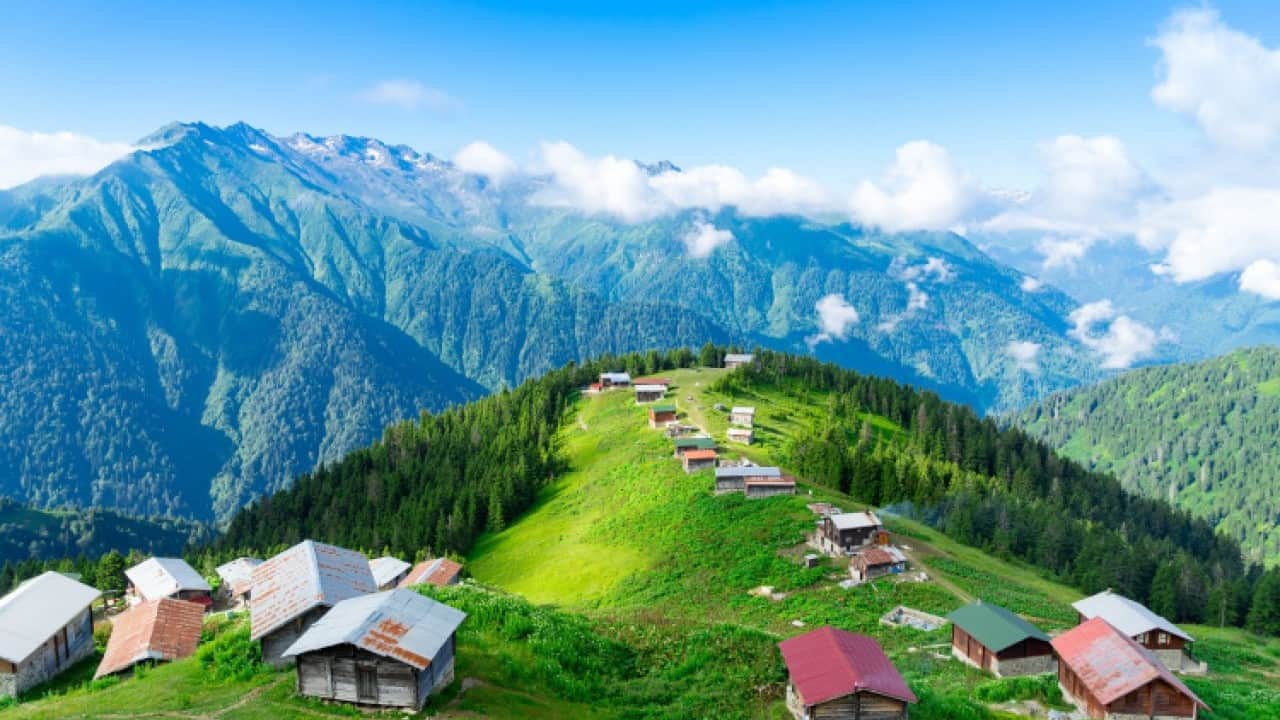 Foto - Bu tatil değil toplumsal baskı!