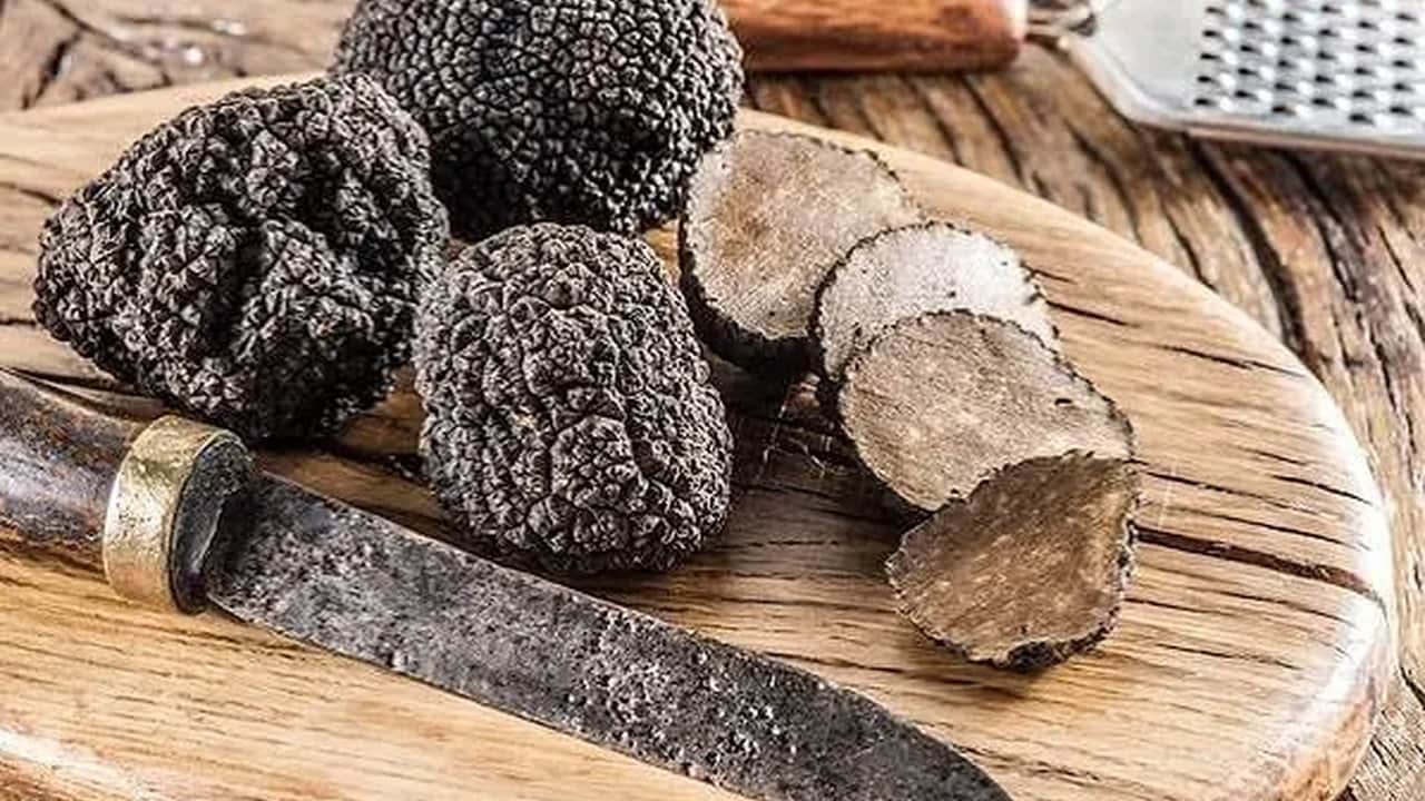 Foto - Bulan köşeyi dönüyor! Türkiye’de bilmeyenlerin çöpe attığı "siyah elmas", resmen zengin ediyor