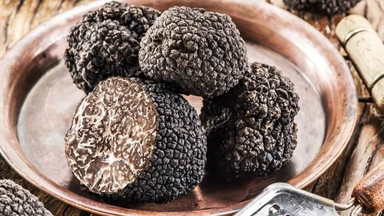 Foto - Bulan köşeyi dönüyor! Türkiye’de bilmeyenlerin çöpe attığı "siyah elmas", resmen zengin ediyor