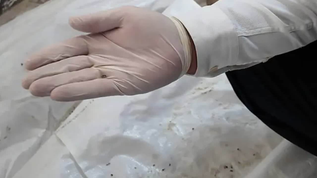 Foto - Bunlar insan olamaz! Fırında skandal görüntüler 