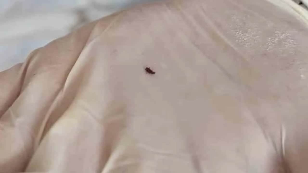 Foto - Bunlar insan olamaz! Fırında skandal görüntüler 