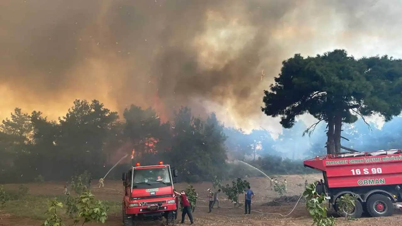 Foto - Bursa'dan yürek ferahlatan haber