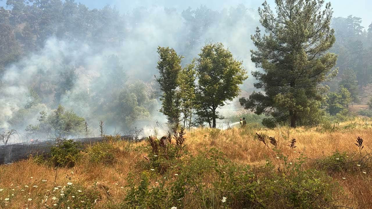 Foto - Bursa'dan yürek ferahlatan haber