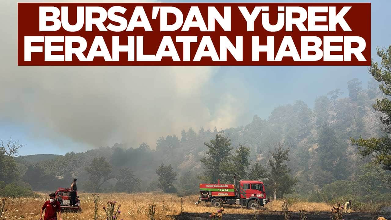 Bursa'dan yürek ferahlatan haber