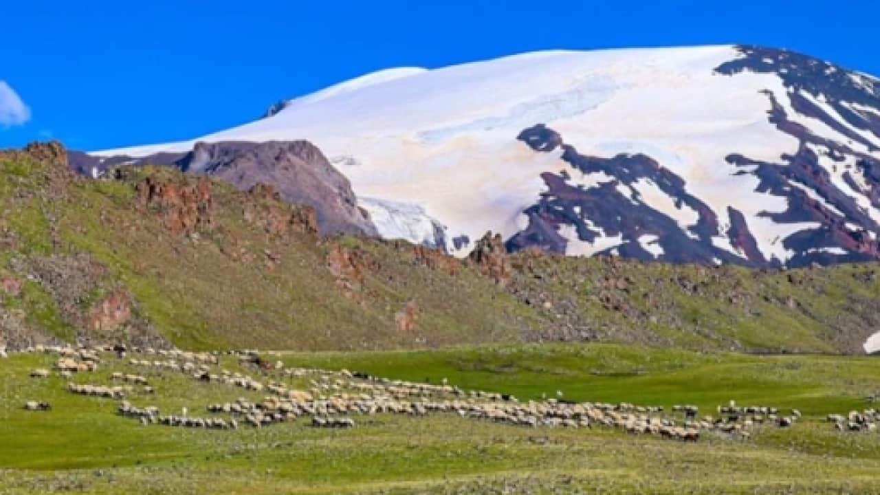 Foto - Çamur şelaleleri akıyordu: Ağrı dağında besicilerin yüzü güldü!
