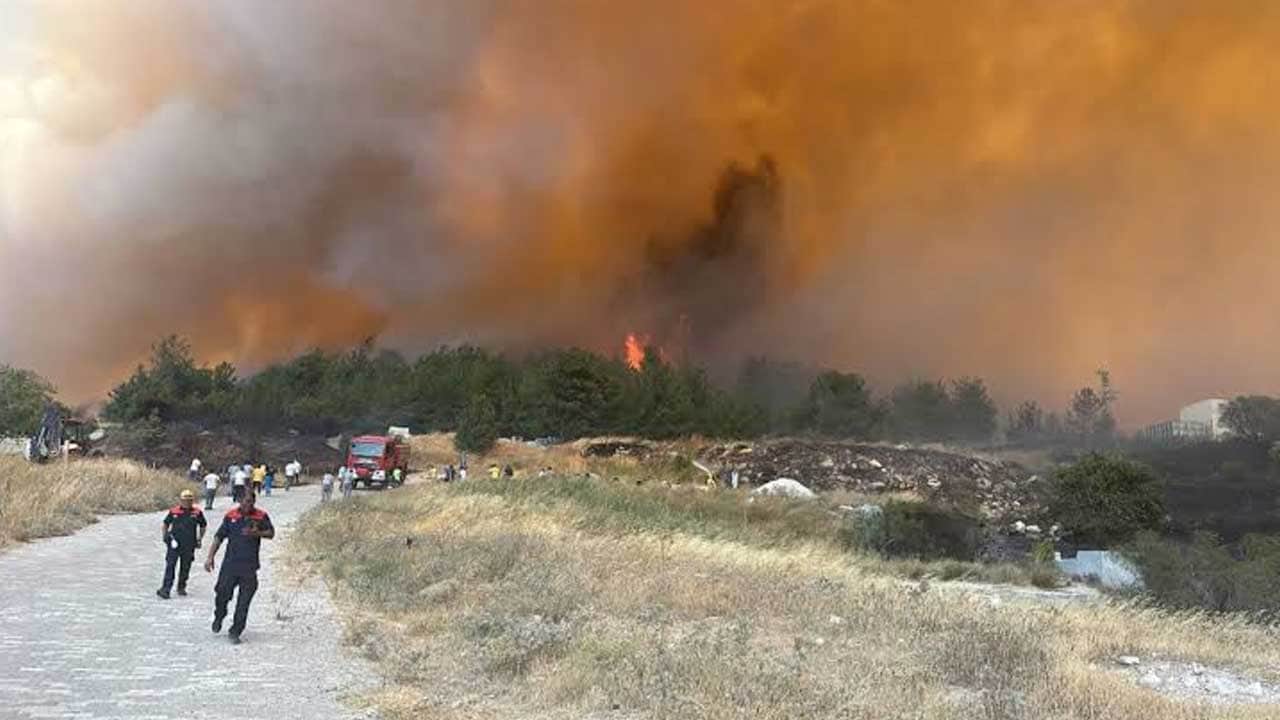 Foto - Çanakkale'den yürekleri ferahlatan haber