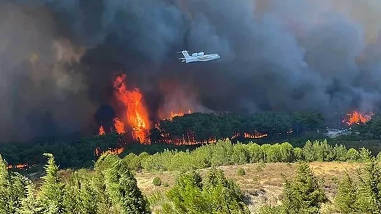 Foto - Çanakkale'den yürekleri ferahlatan haber