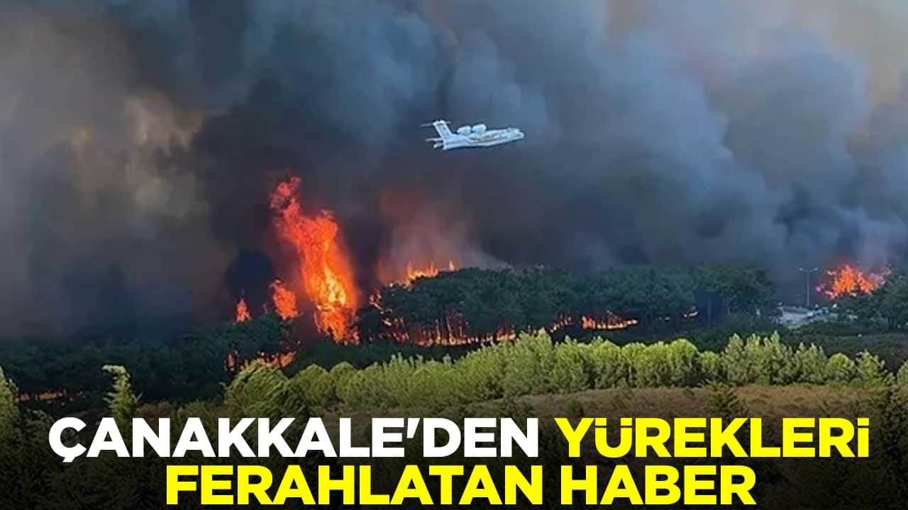 Çanakkale'den yürekleri ferahlatan haber