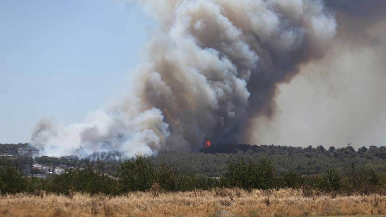 Foto - Çanakkale'den yürekleri ferahlatan haber