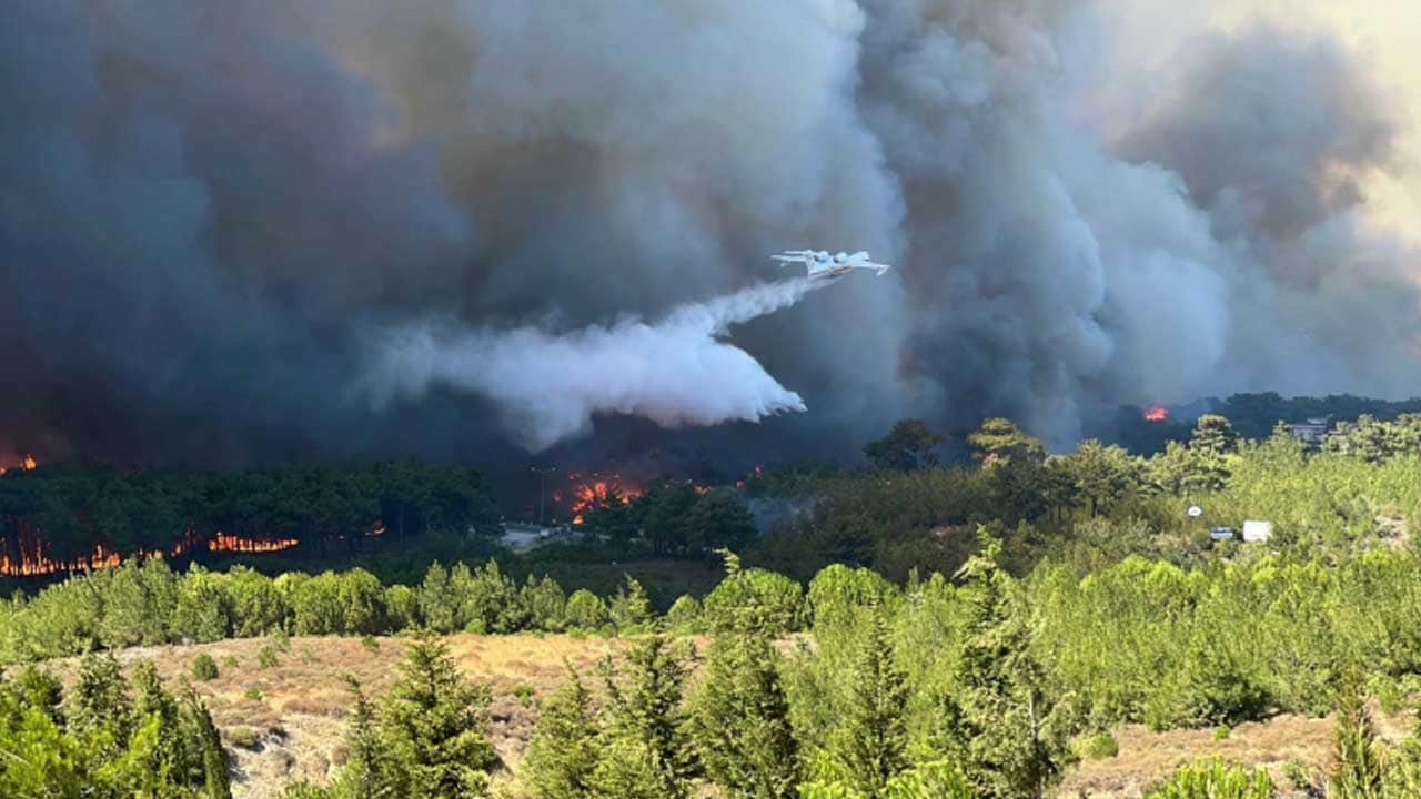 Foto - Çanakkale'den yürekleri ferahlatan haber