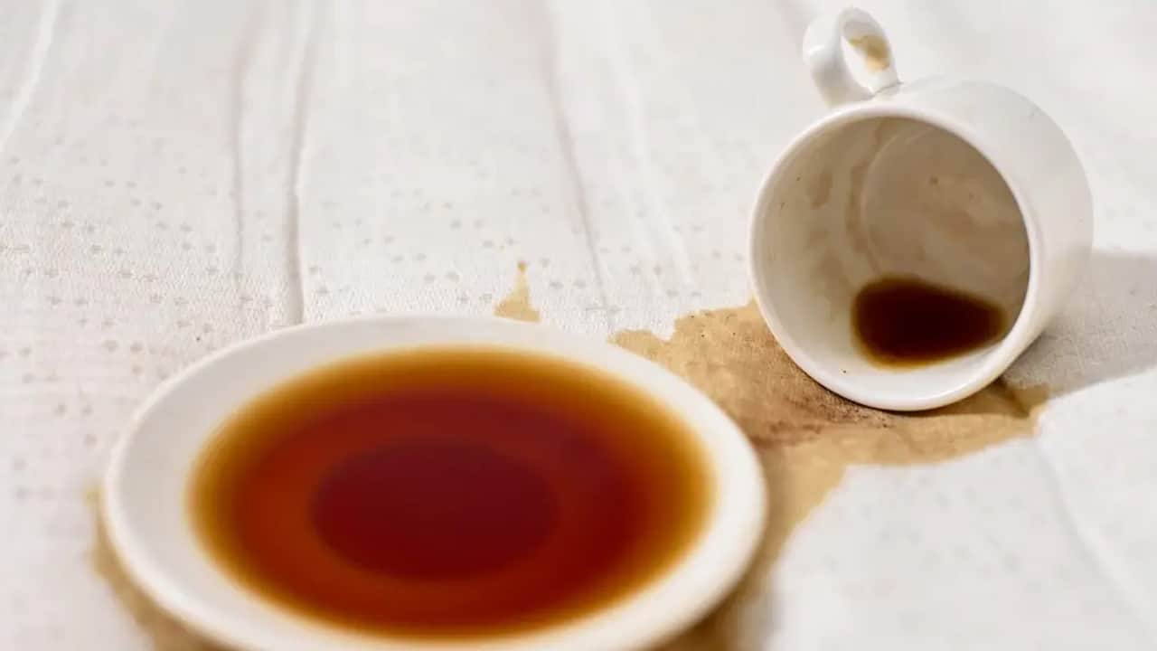 Foto - Çay lekesi nasıl çıkar? Meğer kesin çözüm belli: Tek başına rakipsiz hiç hesaba katmadığınız sirke ile yapılır