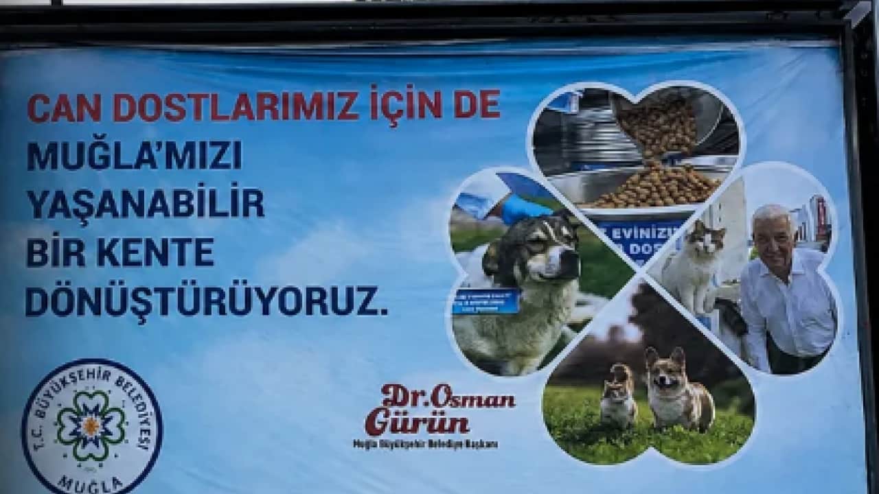 Foto - CHP’li Muğla’da rotalar şaştı! İki ayrı afişte iki ayrı başkan