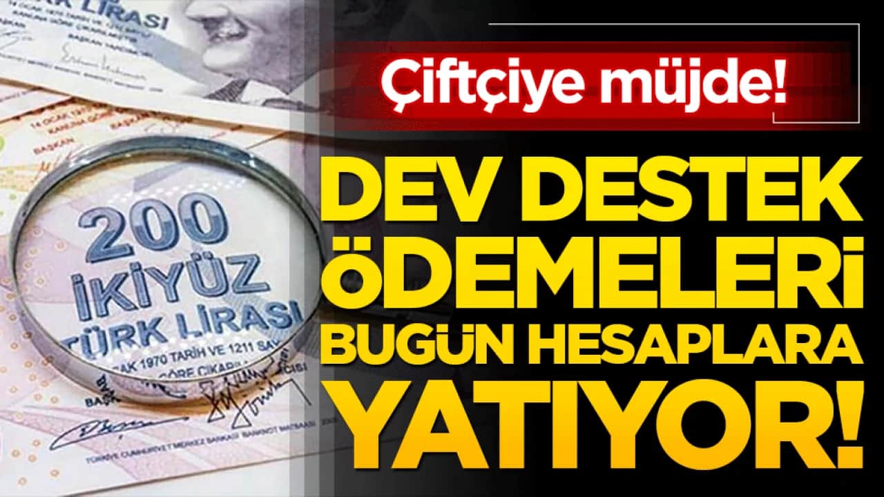 Çiftçiye müjde! Dev destek ödemeleri bugün hesaplara yatıyor!