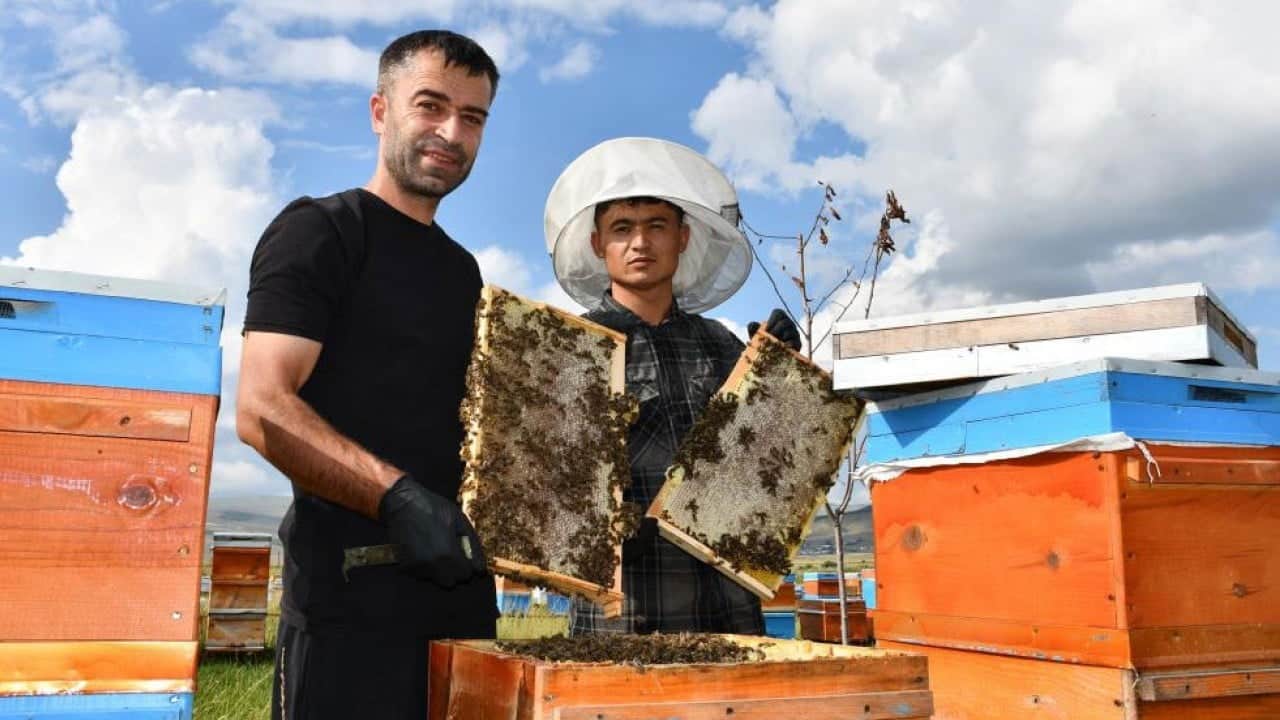 Coğrafi işaretli bu balın kilosu bin 900 lira! Doğanın koynundan sofralara ulaşan lezzet
