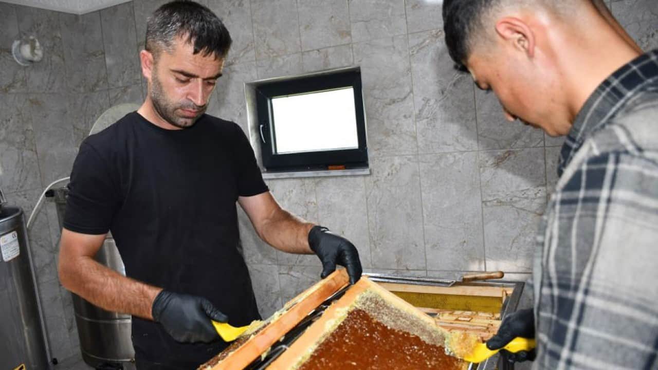 Foto - Coğrafi işaretli bu balın kilosu bin 900 lira! Doğanın koynundan sofralara ulaşan lezzet