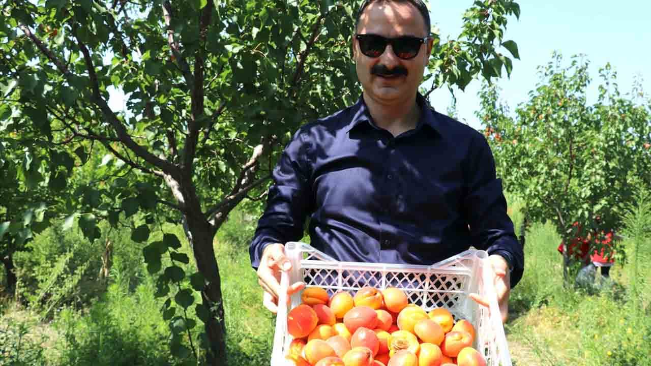 Foto - Çorak toprağı meyve bahçesine dönüştürdü: ‘Burada yetişmez’ algısını yerle bir etti!