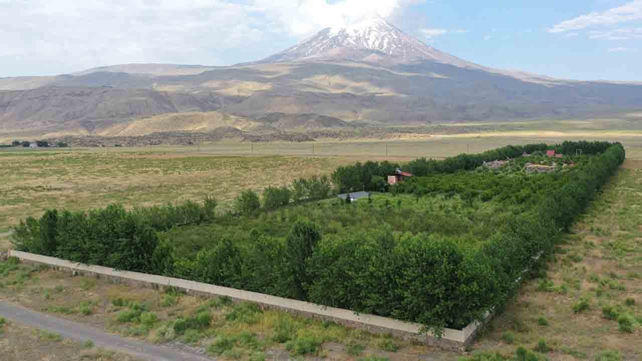 Çorak toprağı meyve bahçesine dönüştürdü: ‘Burada yetişmez’ algısını yerle bir etti!