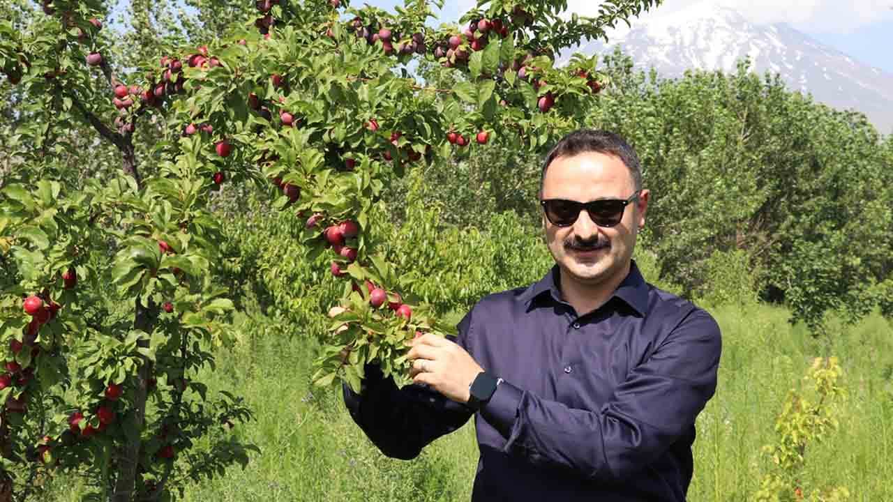 Foto - Çorak toprağı meyve bahçesine dönüştürdü: ‘Burada yetişmez’ algısını yerle bir etti!
