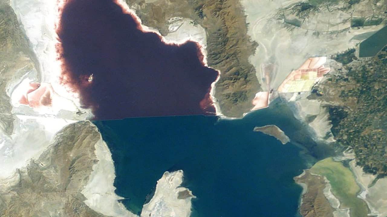 Foto - Denizin içinden çıkardı: Deniz ortasında 150 bin adet pet şişe ile yüzen bir ada kurdu