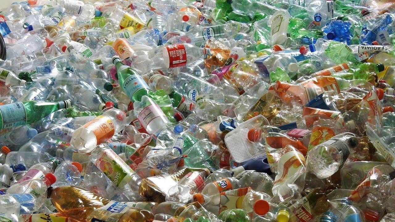 Foto - Denizin içinden çıkardı: Deniz ortasında 150 bin adet pet şişe ile yüzen bir ada kurdu