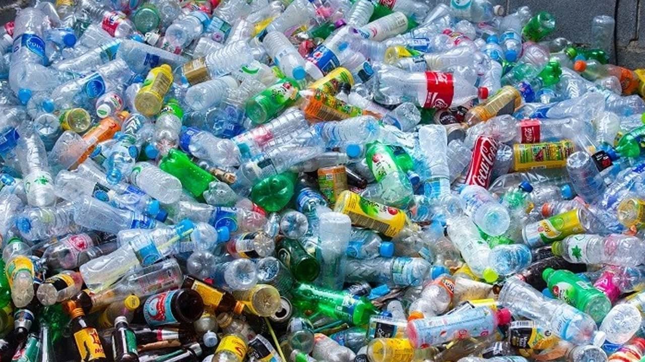 Foto - Denizin içinden çıkardı: Deniz ortasında 150 bin adet pet şişe ile yüzen bir ada kurdu