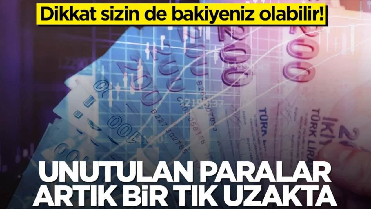 Dikkat sizin de bakiyeniz olabilir! Unutulan paralar artık bir tık uzakta