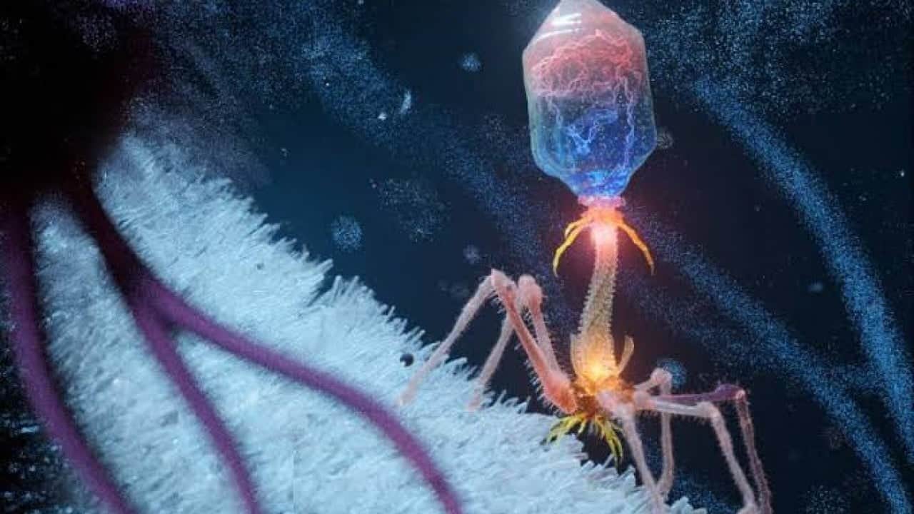Foto - Doğada olmayanı üretti Yapay zeka virüsü laboratuvardan teknolojiye taşıdı