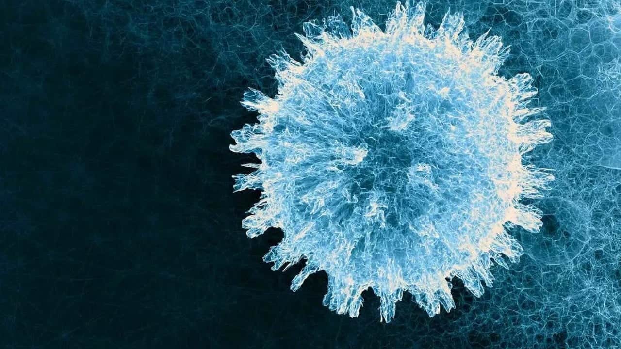 Foto - Doğada olmayanı üretti Yapay zeka virüsü laboratuvardan teknolojiye taşıdı