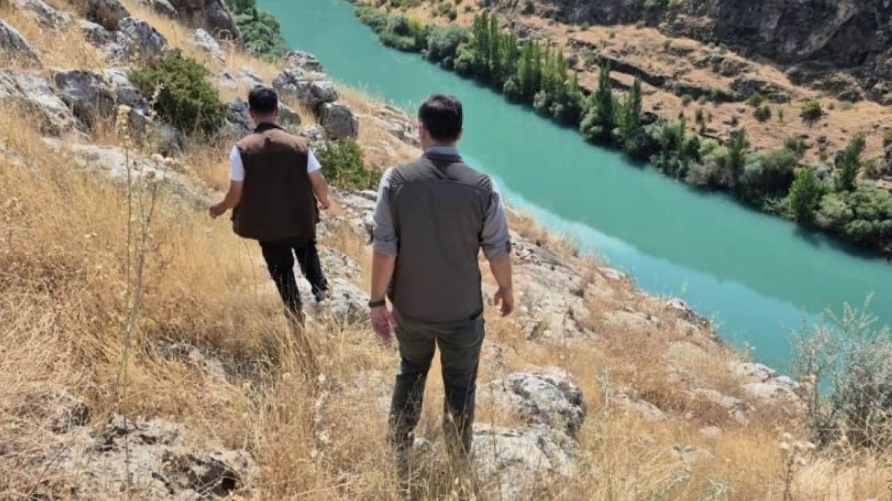 Foto - 5 milyon liraya kadar cezası var! Çizgili sırtlana milyonluk koruma