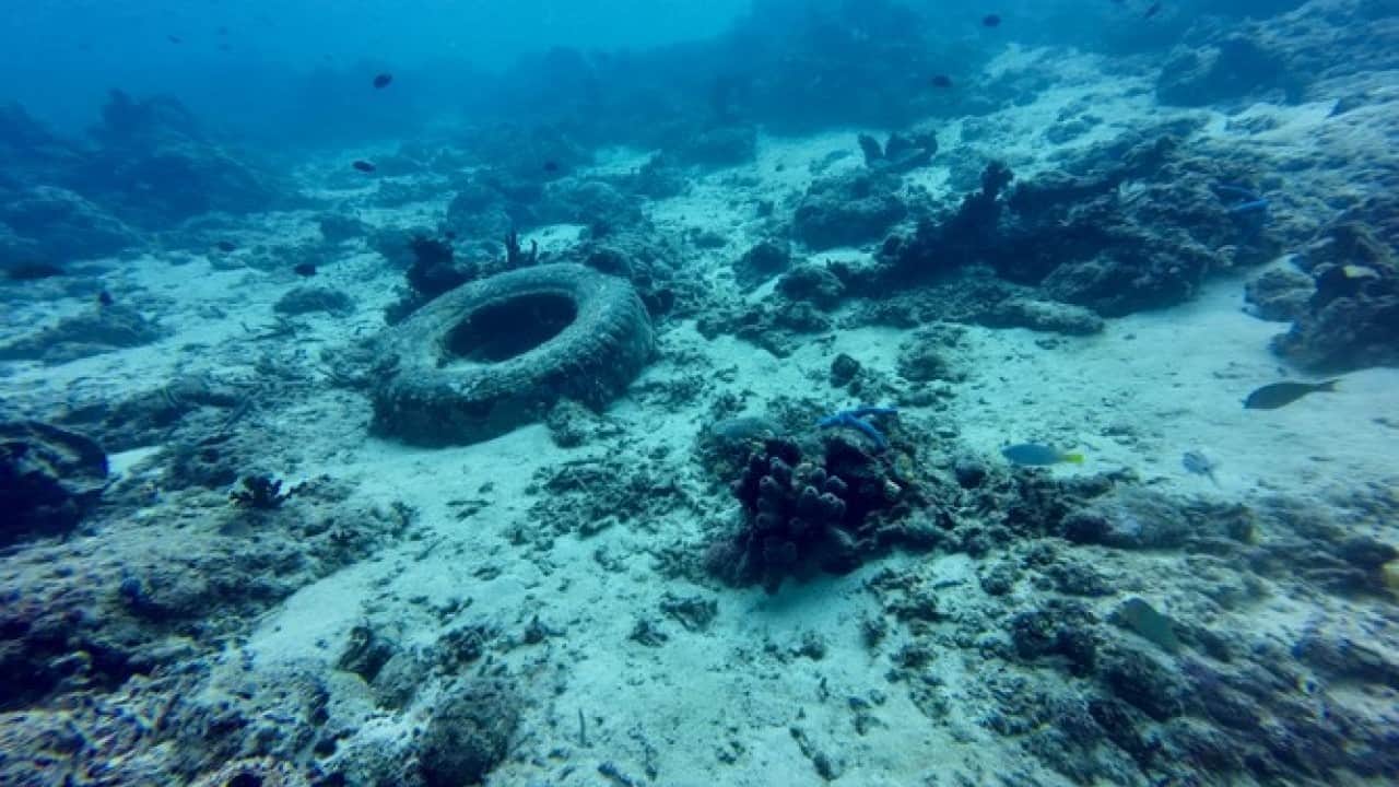 Foto - Doğayı koruyacaklardı, tam tersi oldu! Milyonlarca araç lastiği çevre felaketine yol açtı