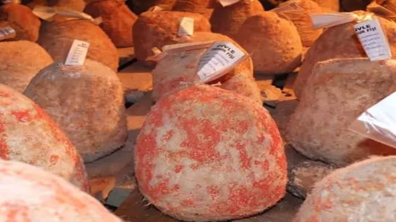 Foto - Dünya devleri peşinde ama laboratuvarda bile kopyalanamıyor! Devler kafayı bakın neye taktı