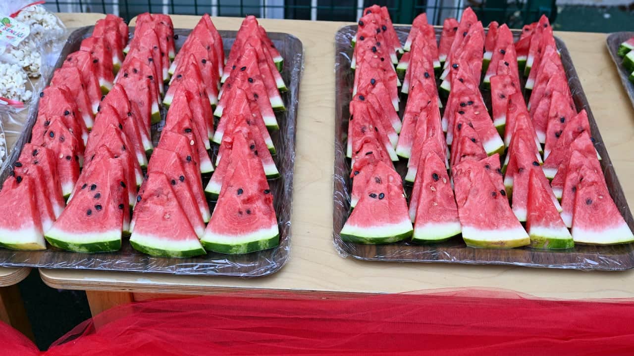 Foto - Dünya Karpuz Günü, festival havasında kutlandı