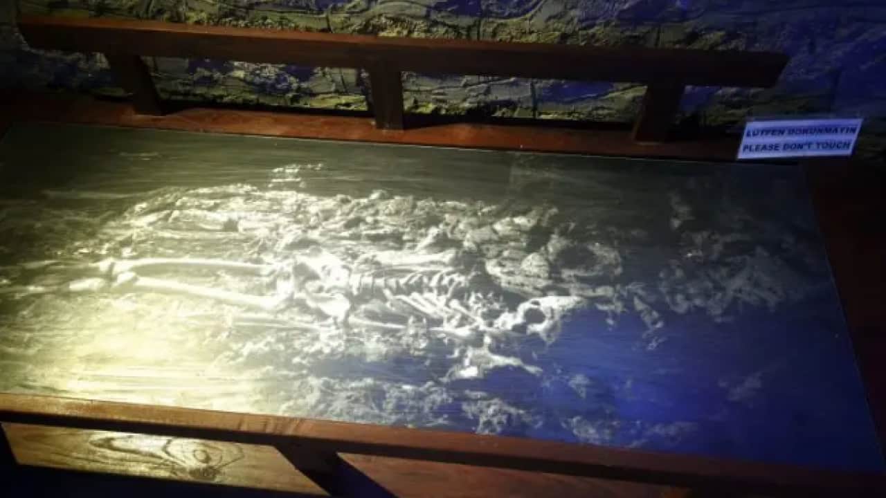 Foto - Dünyada tek örneği Ankara'da: Tam 3 bin 200 yaşında!