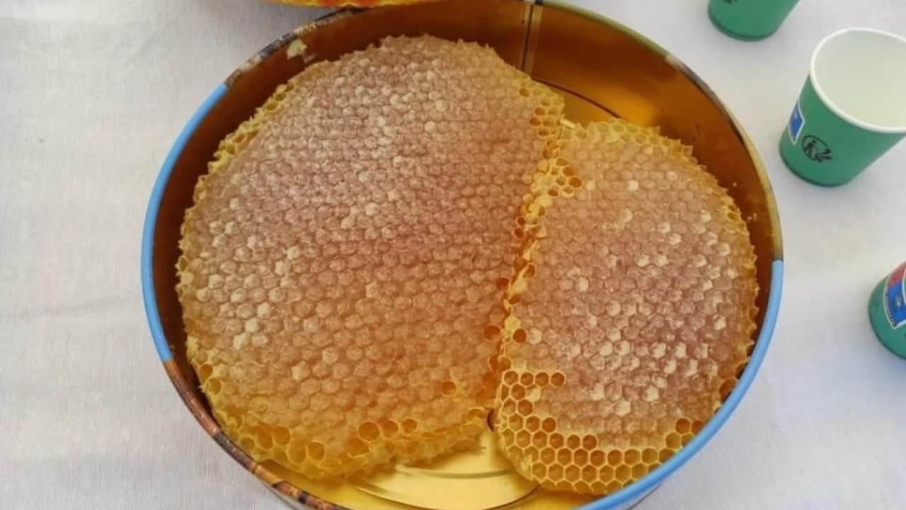 Foto - Dünyanın dört bir yanından talep yağıyor: Kilosu 10 bin TL