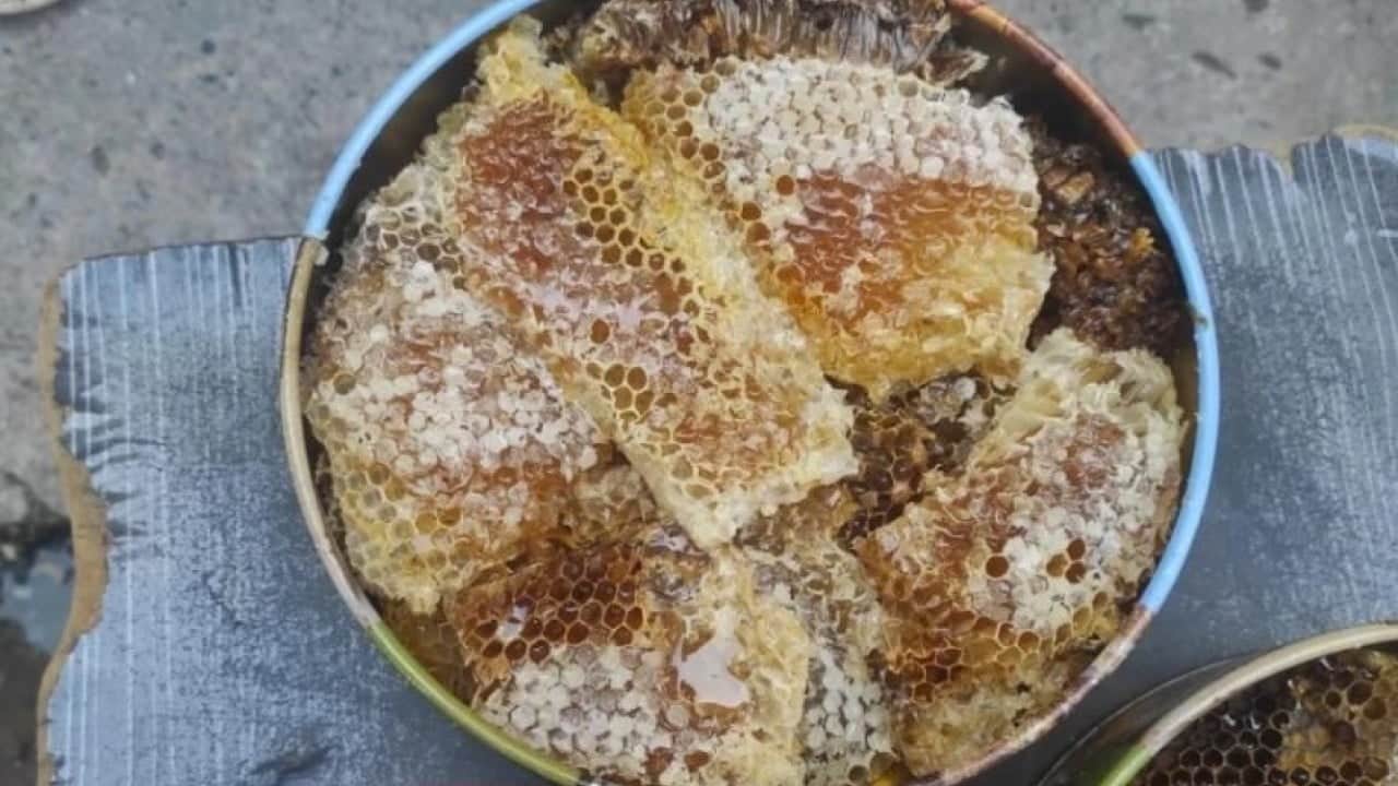 Foto - Dünyanın dört bir yanından talep yağıyor: Kilosu 10 bin TL