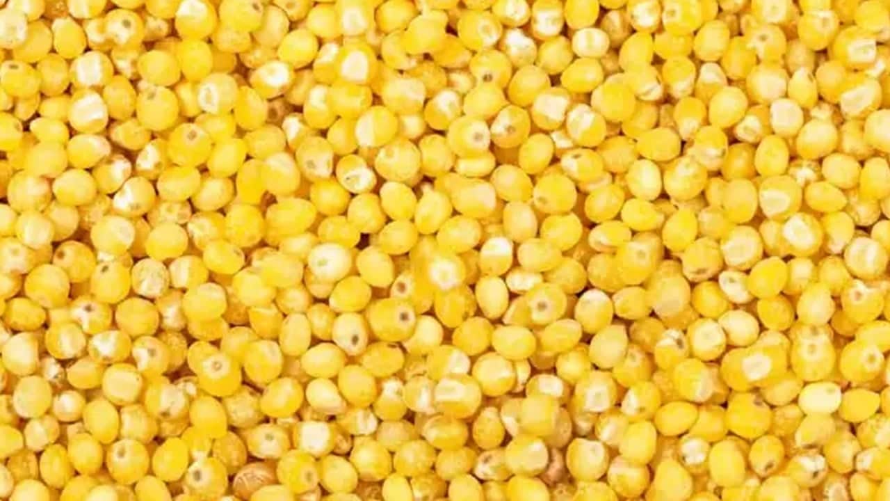 Foto - Dünyanın en zengin magnezyum kaynağı oymuş: Deneyen bundan vazgeçmiyor