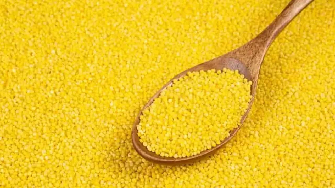 Foto - Dünyanın en zengin magnezyum kaynağı oymuş: Deneyen bundan vazgeçmiyor