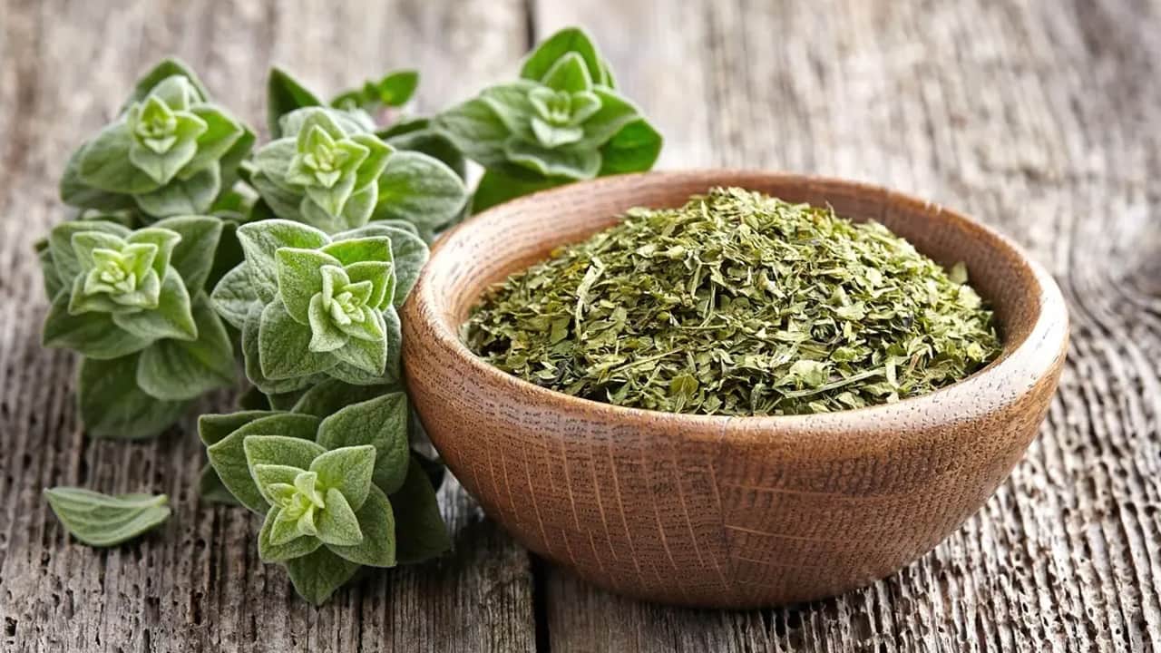 Foto - Eczacıların kullandığı o mucizevi bitki: Kalbi ve tansiyonu dengeliyor
