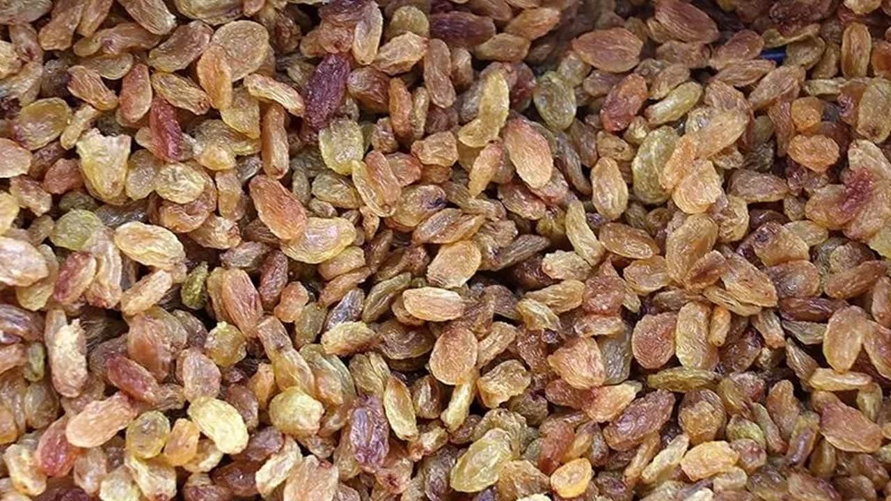 Foto - Ege'de yetişiyor, üzüm salkımları göz kamaştırıyor! Şifa deposu için hasat: Bu yıl bereket heyecanı var