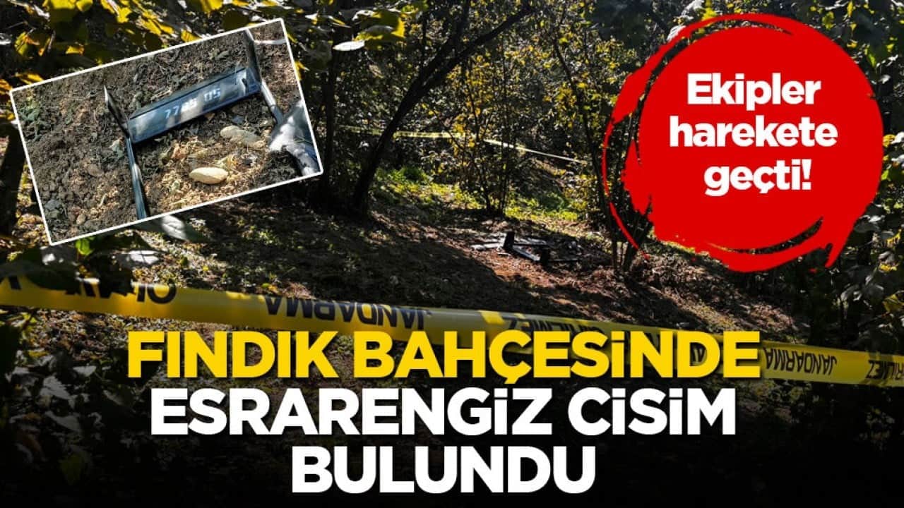 Ekipler harekete geçti! Fındık bahçesinde esrarengiz cisim bulundu