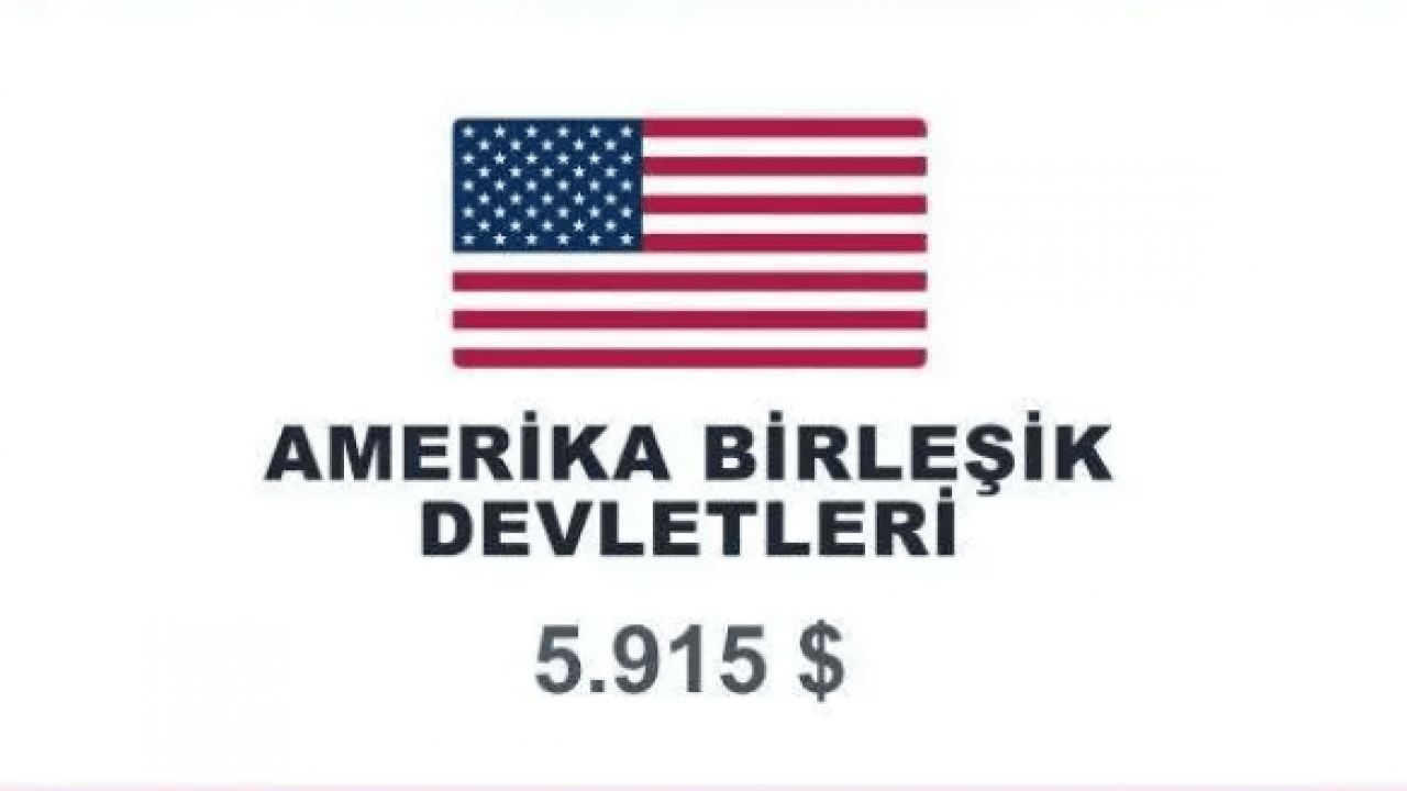 Foto - En fazla kredi kartı borcu olan ülkeler belli oldu! Zirvedeki ülke şaşırtmadı!