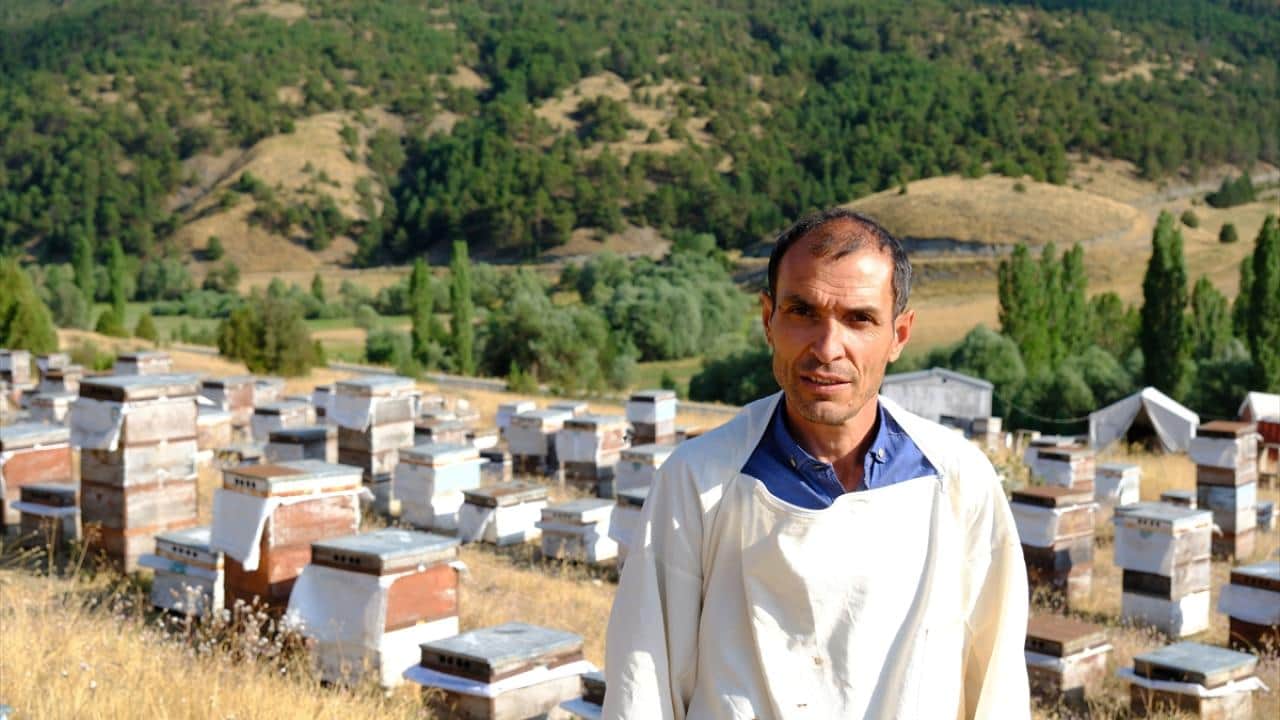 Foto - Eşi ve 3 çocuğuyla yaz aylarını kovanlarının başında geçiriyor! Gezginci arıcı aile bal mesaisinde