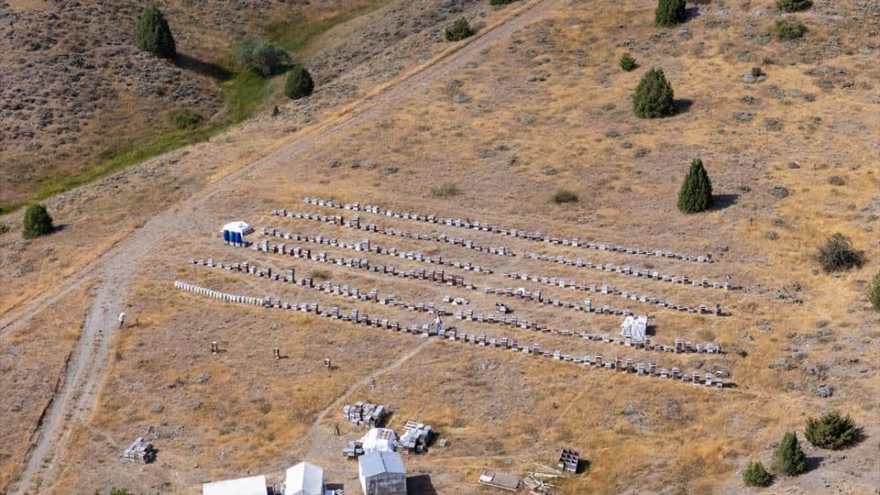 Foto - Eşi ve 3 çocuğuyla yaz aylarını kovanlarının başında geçiriyor! Gezginci arıcı aile bal mesaisinde